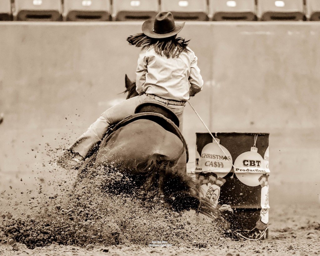 Equine Mortality Insurance Magill Insurance and Real Estate